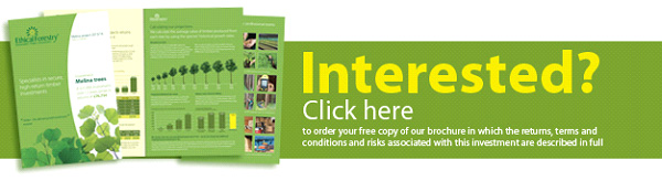 Interested? Click here